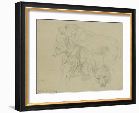 Trois études de loups-Rosa Bonheur-Framed Giclee Print