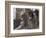 Trois filles assises de dos-Edgar Degas-Framed Giclee Print