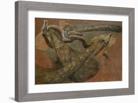 Trois paons-Pieter Boel-Framed Giclee Print