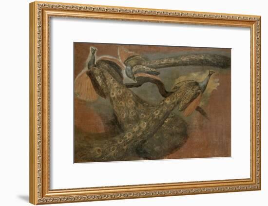 Trois paons-Pieter Boel-Framed Giclee Print