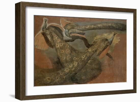 Trois paons-Pieter Boel-Framed Giclee Print