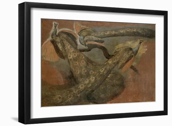 Trois paons-Pieter Boel-Framed Giclee Print