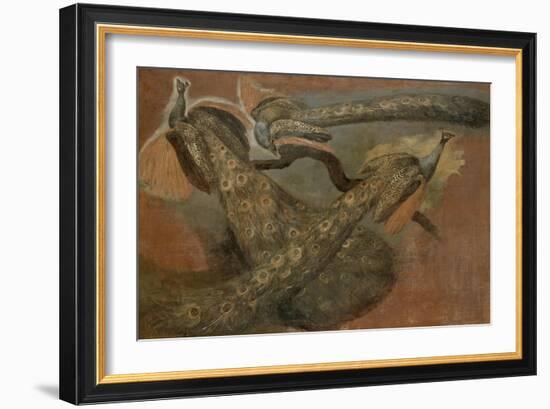 Trois paons-Pieter Boel-Framed Giclee Print