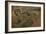 Trois paons-Pieter Boel-Framed Giclee Print