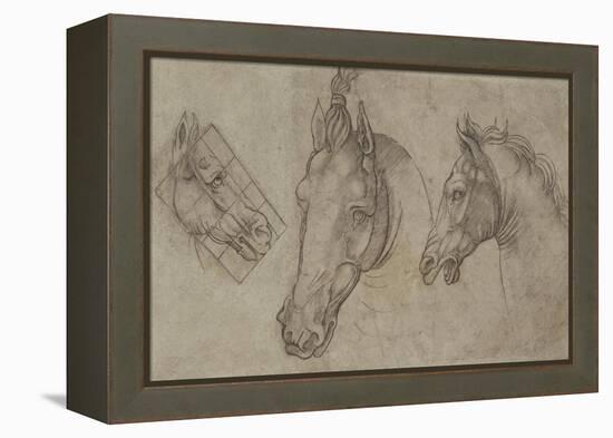 Trois têtes de chevaux-Leonardo da Vinci-Framed Premier Image Canvas