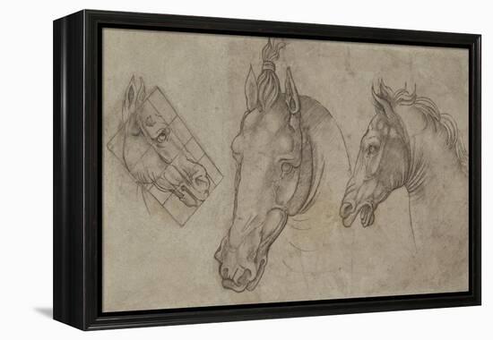 Trois têtes de chevaux-Leonardo da Vinci-Framed Premier Image Canvas