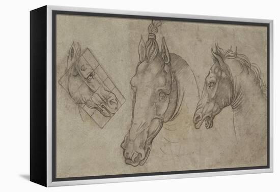 Trois têtes de chevaux-Leonardo da Vinci-Framed Premier Image Canvas