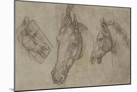 Trois têtes de chevaux-Leonardo da Vinci-Mounted Giclee Print