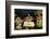 Trolls, Bergen, Hordaland, Norway, Scandinavia, Europe-Robert Harding-Framed Photographic Print