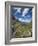 Trollstigen (The Troll Ladder), More Og Romsdal, Romsdal, Norway-Doug Pearson-Framed Photographic Print