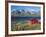 Trolltinden Mountains, Lofoten Islands, Norway-Gavin Hellier-Framed Photographic Print