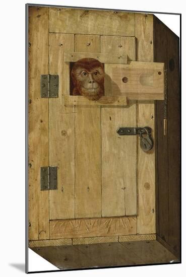 Trompe L'Oeil with a Monkey in a Wooden Box-Jòsef Trajtler-Mounted Giclee Print