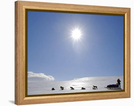 Troms, Lyngen Alps, Travel over the Mountains of the Lyngen Alps Via Dog Sled, Norway-Mark Hannaford-Framed Premier Image Canvas