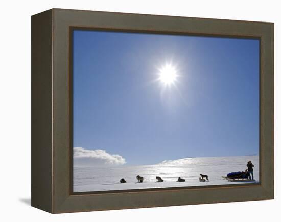 Troms, Lyngen Alps, Travel over the Mountains of the Lyngen Alps Via Dog Sled, Norway-Mark Hannaford-Framed Premier Image Canvas