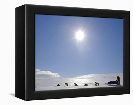 Troms, Lyngen Alps, Travel over the Mountains of the Lyngen Alps Via Dog Sled, Norway-Mark Hannaford-Framed Premier Image Canvas