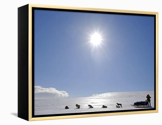 Troms, Lyngen Alps, Travel over the Mountains of the Lyngen Alps Via Dog Sled, Norway-Mark Hannaford-Framed Premier Image Canvas