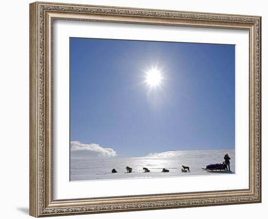 Troms, Lyngen Alps, Travel over the Mountains of the Lyngen Alps Via Dog Sled, Norway-Mark Hannaford-Framed Photographic Print