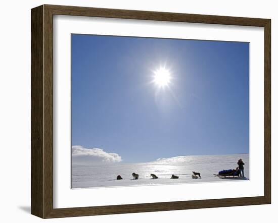 Troms, Lyngen Alps, Travel over the Mountains of the Lyngen Alps Via Dog Sled, Norway-Mark Hannaford-Framed Photographic Print