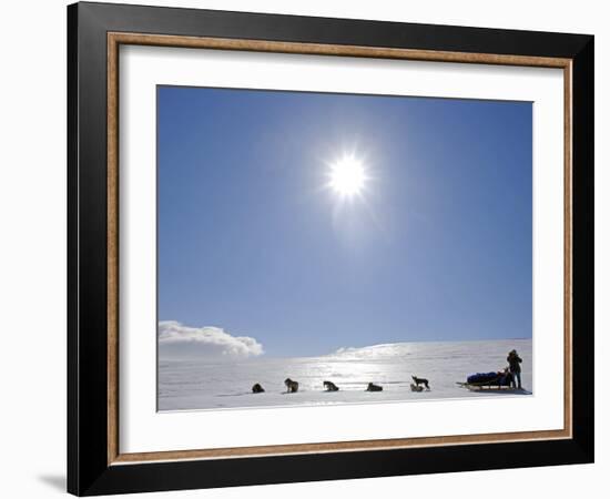 Troms, Lyngen Alps, Travel over the Mountains of the Lyngen Alps Via Dog Sled, Norway-Mark Hannaford-Framed Photographic Print