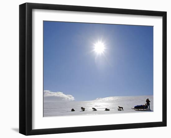Troms, Lyngen Alps, Travel over the Mountains of the Lyngen Alps Via Dog Sled, Norway-Mark Hannaford-Framed Photographic Print
