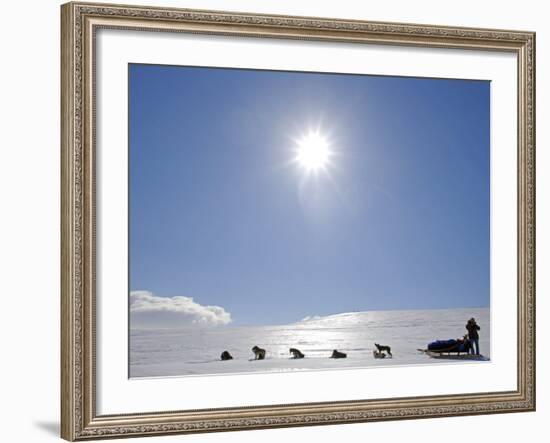 Troms, Lyngen Alps, Travel over the Mountains of the Lyngen Alps Via Dog Sled, Norway-Mark Hannaford-Framed Photographic Print