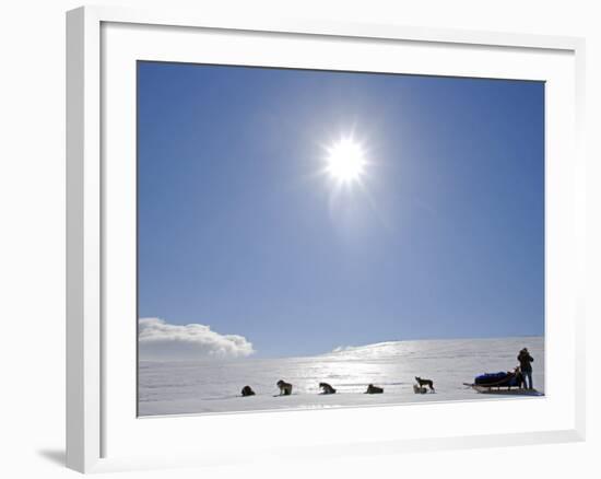 Troms, Lyngen Alps, Travel over the Mountains of the Lyngen Alps Via Dog Sled, Norway-Mark Hannaford-Framed Photographic Print