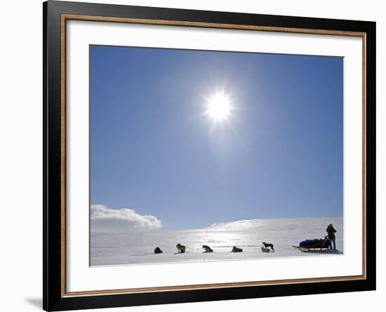 Troms, Lyngen Alps, Travel over the Mountains of the Lyngen Alps Via Dog Sled, Norway-Mark Hannaford-Framed Photographic Print