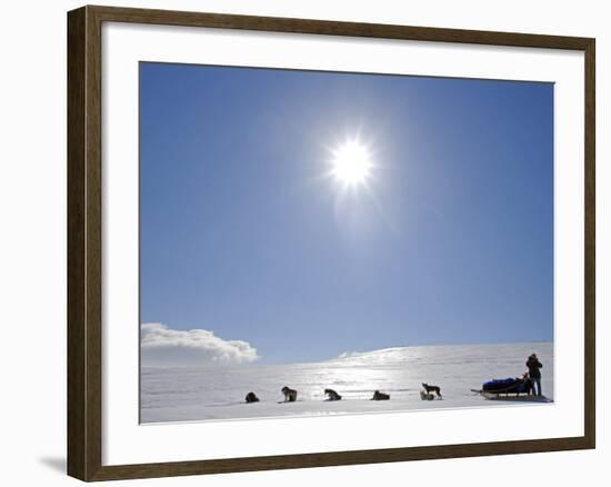 Troms, Lyngen Alps, Travel over the Mountains of the Lyngen Alps Via Dog Sled, Norway-Mark Hannaford-Framed Photographic Print