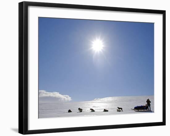 Troms, Lyngen Alps, Travel over the Mountains of the Lyngen Alps Via Dog Sled, Norway-Mark Hannaford-Framed Photographic Print