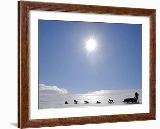 Troms, Lyngen Alps, Travel over the Mountains of the Lyngen Alps Via Dog Sled, Norway-Mark Hannaford-Framed Photographic Print