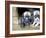 Troms, Tromso, Young Husky Puppies, Bred for a Dog Sledding Centre, Crowd Kennel Doorway , Norway-Mark Hannaford-Framed Photographic Print