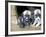 Troms, Tromso, Young Husky Puppies, Bred for a Dog Sledding Centre, Crowd Kennel Doorway , Norway-Mark Hannaford-Framed Photographic Print