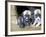 Troms, Tromso, Young Husky Puppies, Bred for a Dog Sledding Centre, Crowd Kennel Doorway , Norway-Mark Hannaford-Framed Photographic Print