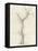 Tronc d'arbre dépouillé-Pierre Henri de Valenciennes-Framed Premier Image Canvas