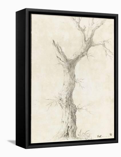 Tronc d'arbre dépouillé-Pierre Henri de Valenciennes-Framed Premier Image Canvas