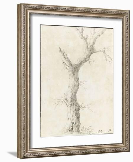 Tronc d'arbre dépouillé-Pierre Henri de Valenciennes-Framed Giclee Print