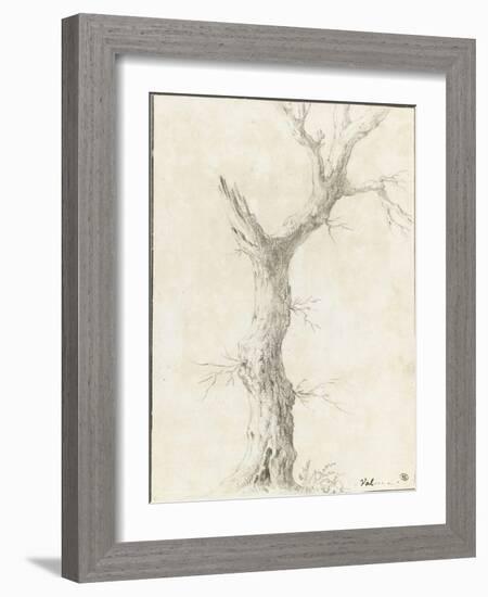 Tronc d'arbre dépouillé-Pierre Henri de Valenciennes-Framed Giclee Print