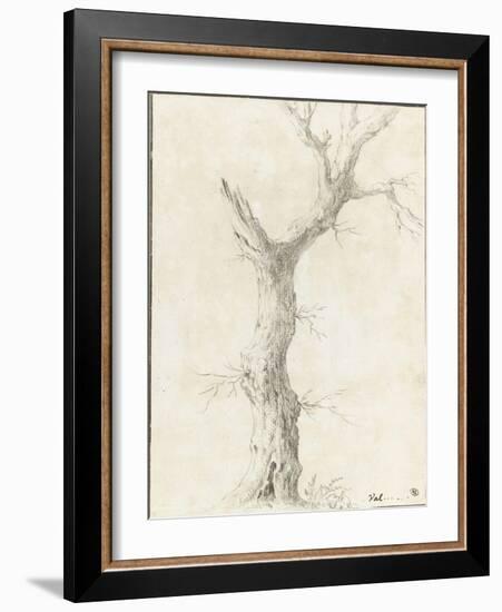 Tronc d'arbre dépouillé-Pierre Henri de Valenciennes-Framed Giclee Print