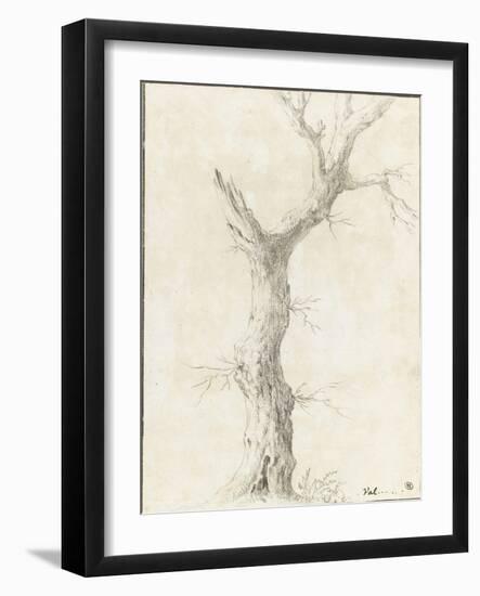 Tronc d'arbre dépouillé-Pierre Henri de Valenciennes-Framed Giclee Print