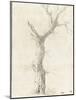 Tronc d'arbre dépouillé-Pierre Henri de Valenciennes-Mounted Giclee Print