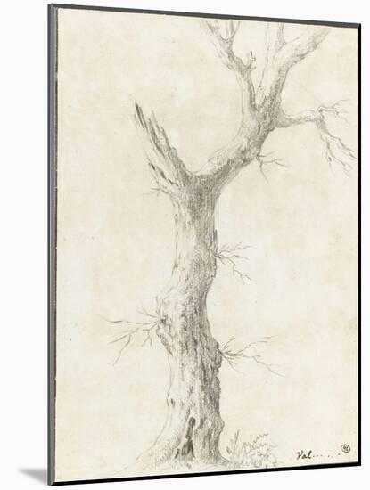 Tronc d'arbre dépouillé-Pierre Henri de Valenciennes-Mounted Giclee Print