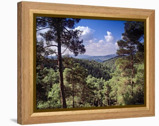 Troodos Mountains, Cyprus-Rex Butcher-Framed Premier Image Canvas