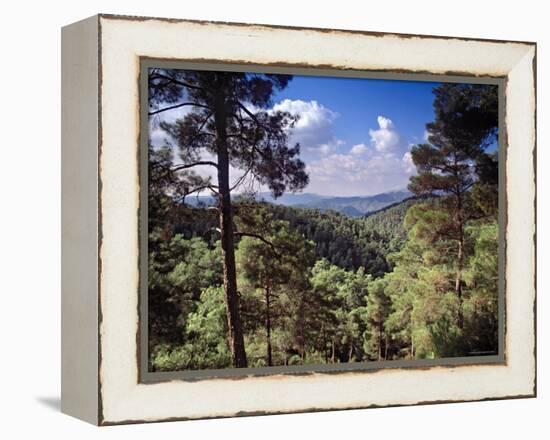 Troodos Mountains, Cyprus-Rex Butcher-Framed Premier Image Canvas