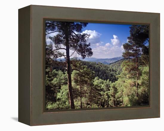 Troodos Mountains, Cyprus-Rex Butcher-Framed Premier Image Canvas