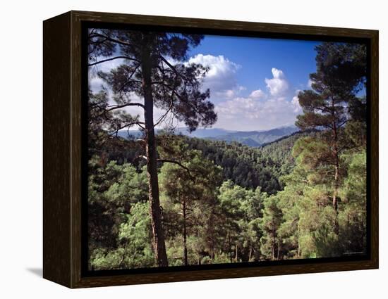 Troodos Mountains, Cyprus-Rex Butcher-Framed Premier Image Canvas