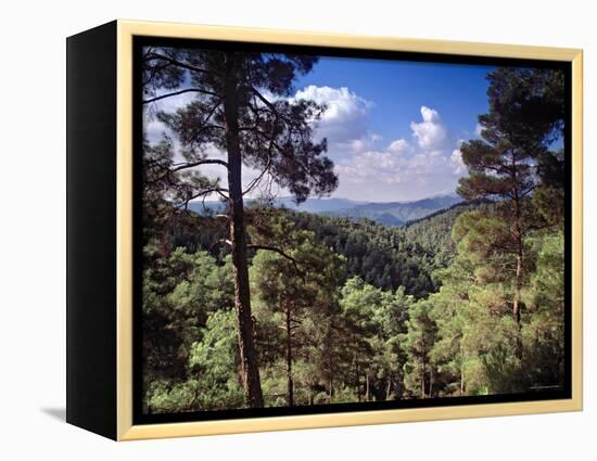 Troodos Mountains, Cyprus-Rex Butcher-Framed Premier Image Canvas