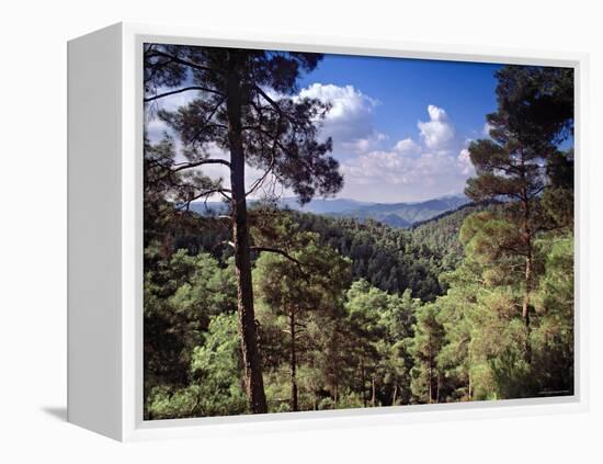 Troodos Mountains, Cyprus-Rex Butcher-Framed Premier Image Canvas