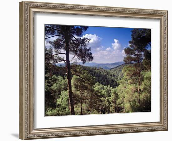 Troodos Mountains, Cyprus-Rex Butcher-Framed Photographic Print