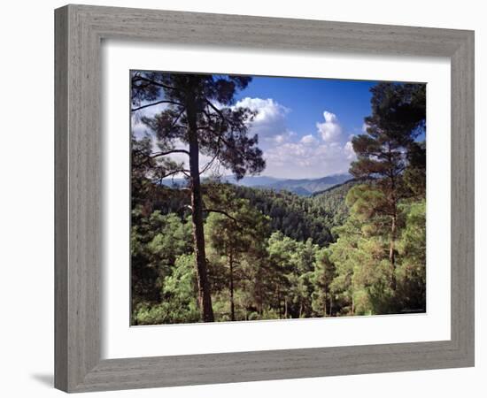 Troodos Mountains, Cyprus-Rex Butcher-Framed Photographic Print