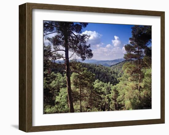 Troodos Mountains, Cyprus-Rex Butcher-Framed Photographic Print